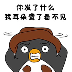 年年有余某某采集到帝帝一家