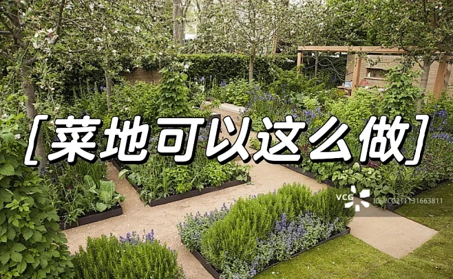 别墅花园菜地真的可以这么做 - 小红书-花瓣网
