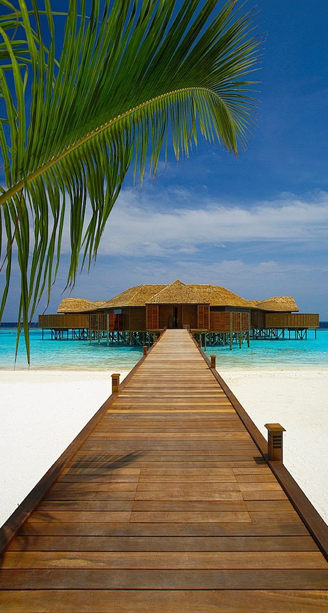 马尔代夫海滩度假村酒店
