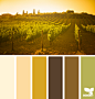 vineyard hues
