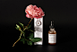 Twiggie & Rose : Twiggie and Rose is a truly natural, organic & high-performance skincare. We designed a sophisticated identity and packaging to portrait the finesse of the brand.