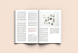 干净的杂志ID模版 Seed - A4 Magazine Template #2194630