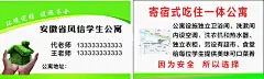 公寓名片  - 源文件下载【酷图网】名片,名片模板,绿色模板,学生公寓,公寓名片,