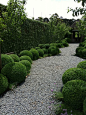 Stonefields - love the gentle curves of this path lined with boxwood
