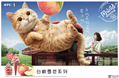 Ohk7grUR采集到视觉