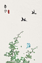 24节气插画——春分（临摹）