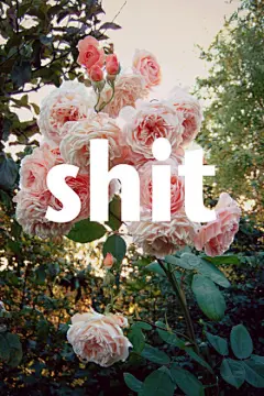 #高清手机壁纸# 0105 --- 每日放送，喜欢请关注@9999张高清手机壁纸