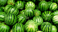 img-39ba1b46f1ca5bf17ff02145a2b4f952