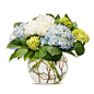 Cottage Hydrangeas