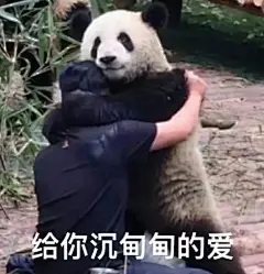收集一波熊猫表情包