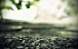 ground hardscapes wallpaper (#816973) / Wallbase.cc