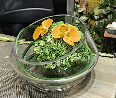 Evea-采集到F-Floriculture【花艺】盆栽