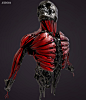 Skull Muscles., jeison silva : Inspired by one of the concepts of Christian rinaldi.