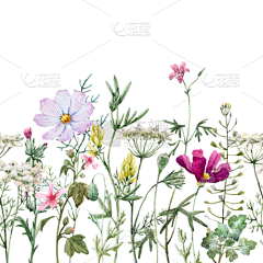 敏000采集到花