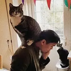 头顶有小花猫咪表情包最全合集 : 头顶长花猫咪 表情包爸爸 好可爱！更新过一期今天看到有新图，忍不住追更！！头顶上有小花花猫猫表情包猫猫头上长