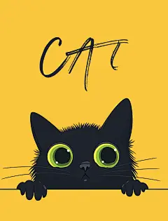 24小黑猫