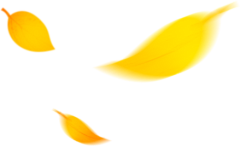 不显示采集到免抠图