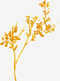 手绘树梢高清素材 树叶 树枝 金箔线条 金色 免抠png 设计图片 免费下载