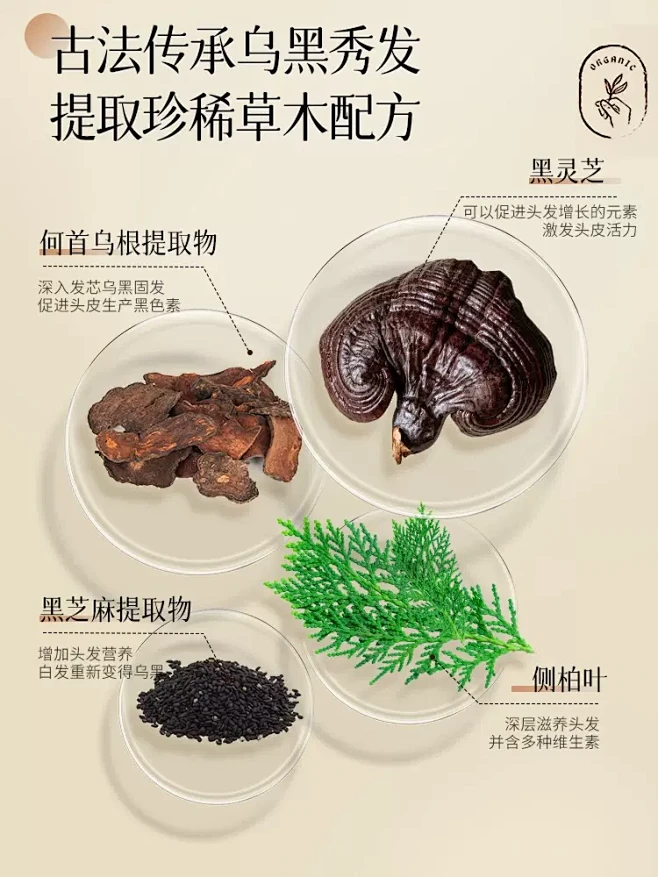 日本何首乌黑灵芝洗发水白发根转黑治纯植物养黑神器官方正品旗舰-tmall.com天猫-花瓣网