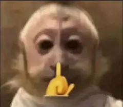 吗喽表情包来啦… - 知乎