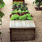 Raised veggie beds