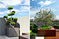 Glebe landscape architecture