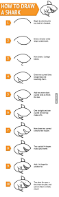 How to draw a shark