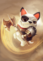 Pet Warriors on Behance