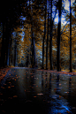 Gloomy Autumn by Maksim Evtushenko