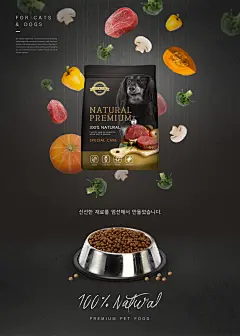 狗狗狗粮水果蔬菜气球沐浴露洗澡创意海报
