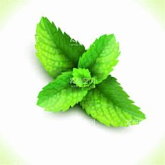 ai矢量茶叶特写  - 源文件下载【酷图网】特写,写真,茶叶海报,茶叶,茶叶包装,茶道,茶展板,茶韵,普洱茶,中国风茶叶,茶叶素材,茶壶素材,茶具素材,茶,茶叶挂画,茶叶挂图,茶叶文化,茶叶展板,茶叶名片,茶文化,茶叶广告,铁观音,茶叶茶馆,绿茶茶叶,铁观音茶叶,茶叶设计,春茶,茶叶茶园,花茶,中国茶叶,茶博会,茶画册,广告设计,清新,绿色