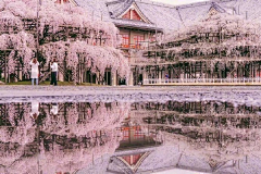 杰西Q采集到旅行风景