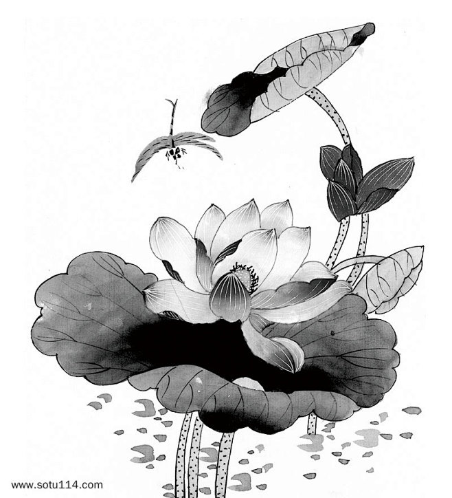 中国风荷花水墨画图片图片png免抠元素卡...