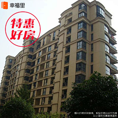 风中没有爱采集到板式设计