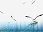 大海与海鸥高清素材 大海 海 海鸥 海鸥素材 船 免抠png 设计图片 免费下载