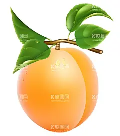 桃子插画 手绘  - 源文件下载【酷图网】桃子,杨桃,水果罐头,水果,手绘水果,水果高清图,