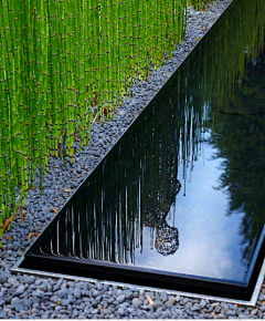 闰土没有猹采集到植物—现代/简约风格