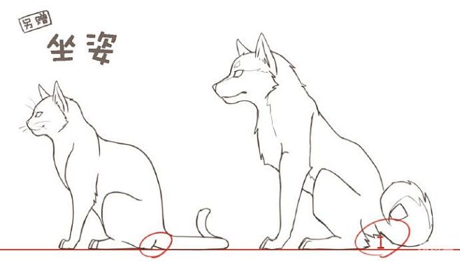 #绘画学习# 【猫狗设计绘制画法】猫和狗...