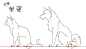 #绘画学习# 【猫狗设计绘制画法】猫和狗的区别画法，从五官到姿势的详细教程。