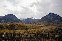 山谷中带有秋天色彩的阿拉斯加山脉景观