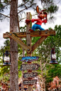 splash mountain and big thunder mountain signs: 