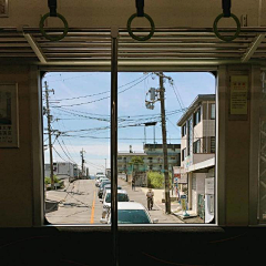 浅叶紫檀采集到图库