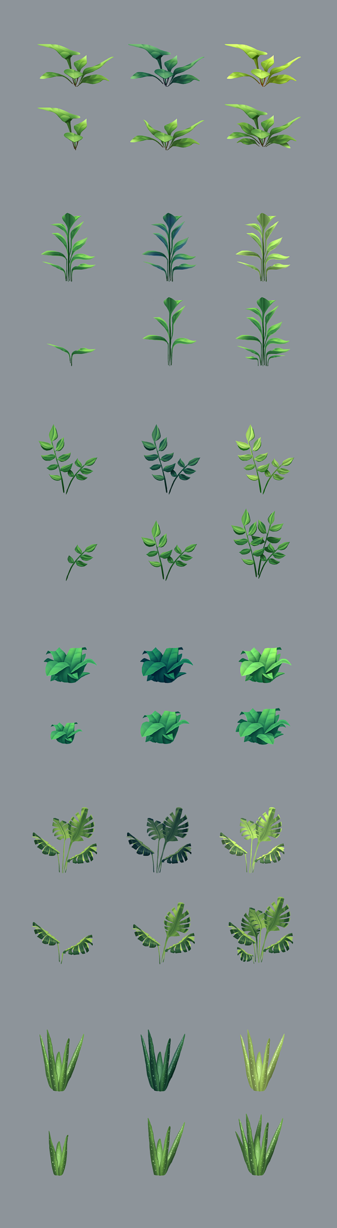 Plant Concepts