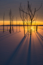 Sun rising over a frozen lake at Manasquan Reservoir in New Jersey, USA, photo by Dave Rogers #美景# #摄影师#