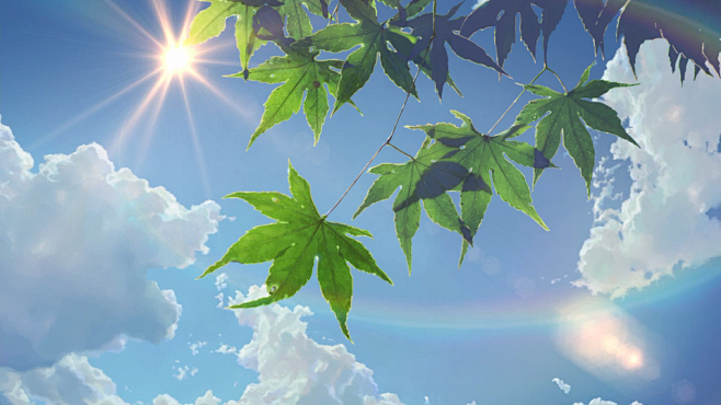 绿叶伴着光晕，清新美