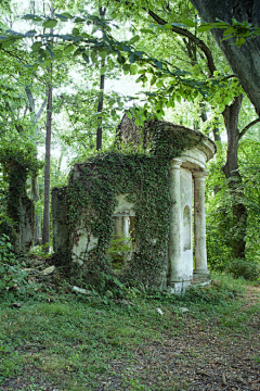CzZHahaha采集到场景- 花园 温室 废墟