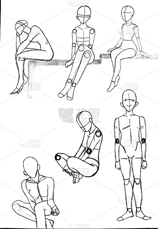 人体坐姿和站立的解剖图