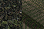Mitchelton Winery on Behance