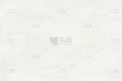 纹理效果,背景聚焦,斑点,华丽的,背景分离,光亮,x光仪器,简单,复古风格,模板