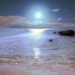 那年华‖ 朋友圈背景图 - 堆糖，美图壁纸兴趣社区